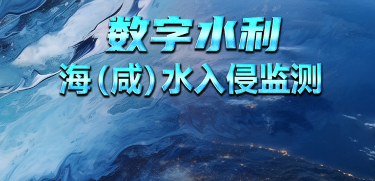 数字水利-海（咸）水入侵